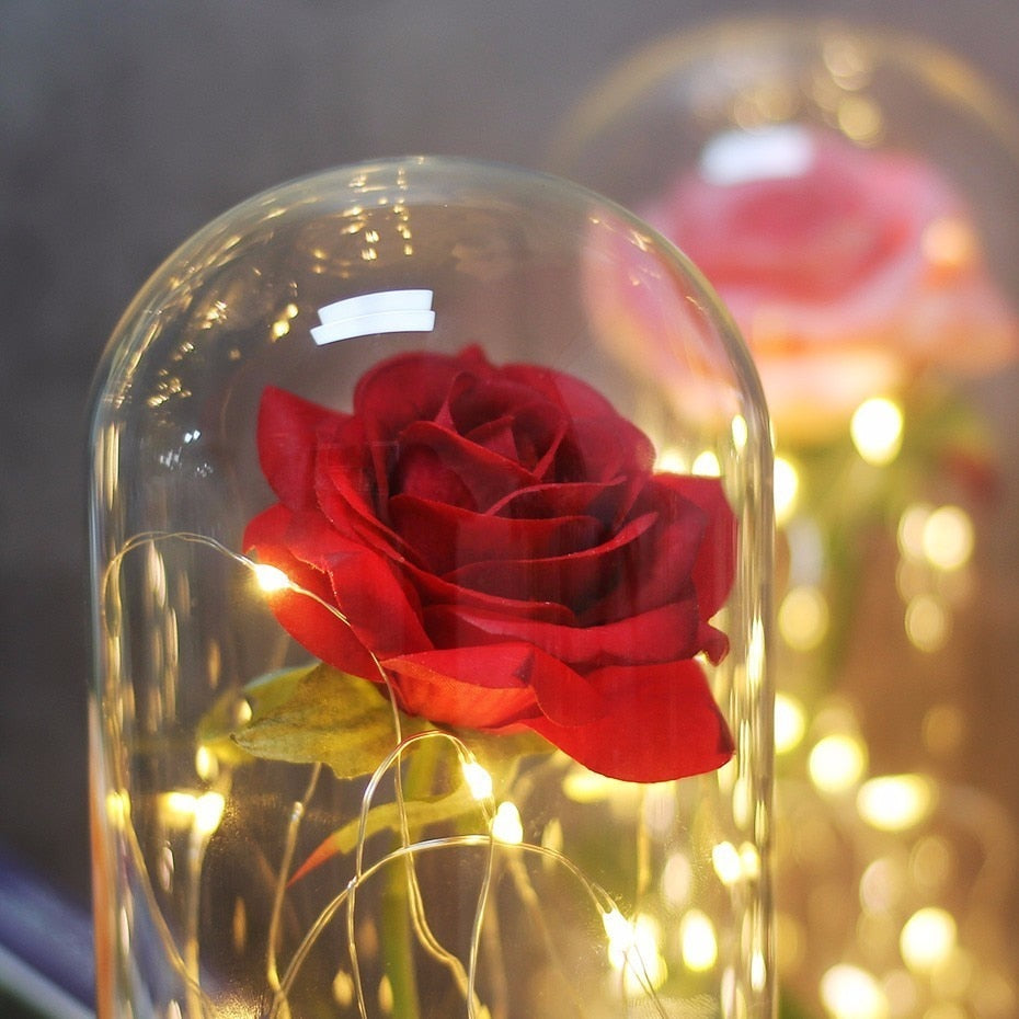 Beauty And Beast Rose In Flask Led Rose Flower Light Black Base Glass Dome Best For Mother's Day Valentines Day Gift